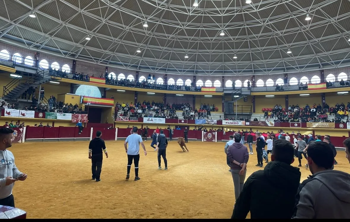 El Ayuntamiento de Alba de Tormes vende tickets para el pre encierro del 25 de agosto a partir del 13 de agosto