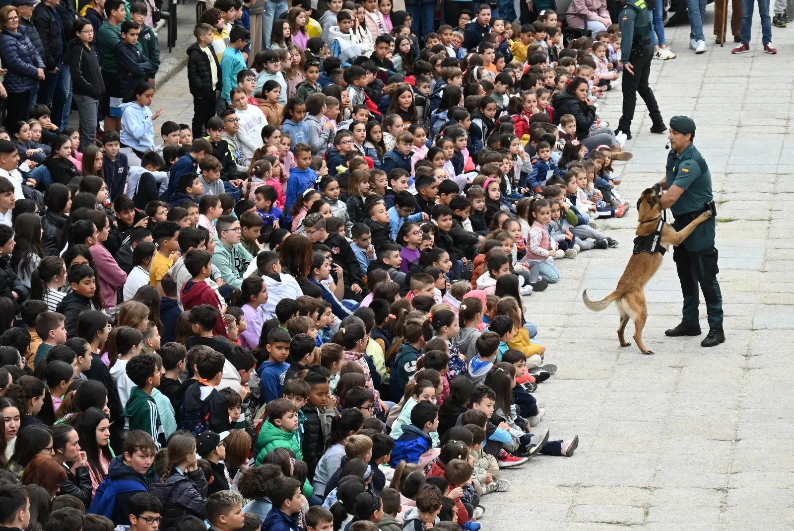 Gran exhibición de la Guardia Civil para escolares en la Plaza Mayor de Ciudad Rodrigo