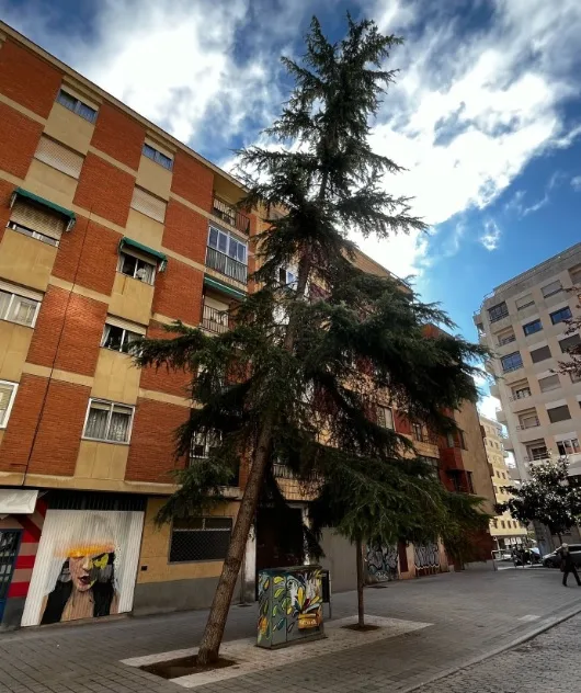 Salamanca ampliará las zonas verdes en la calle Escultor Carmona