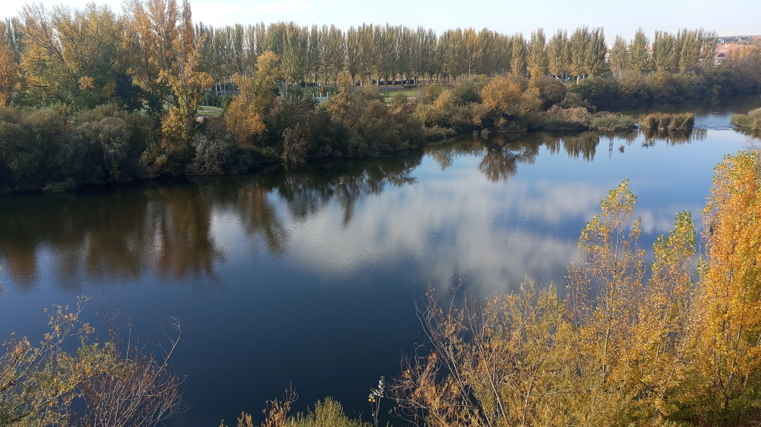Salamanca fluyendo por las arterias de mis sueños