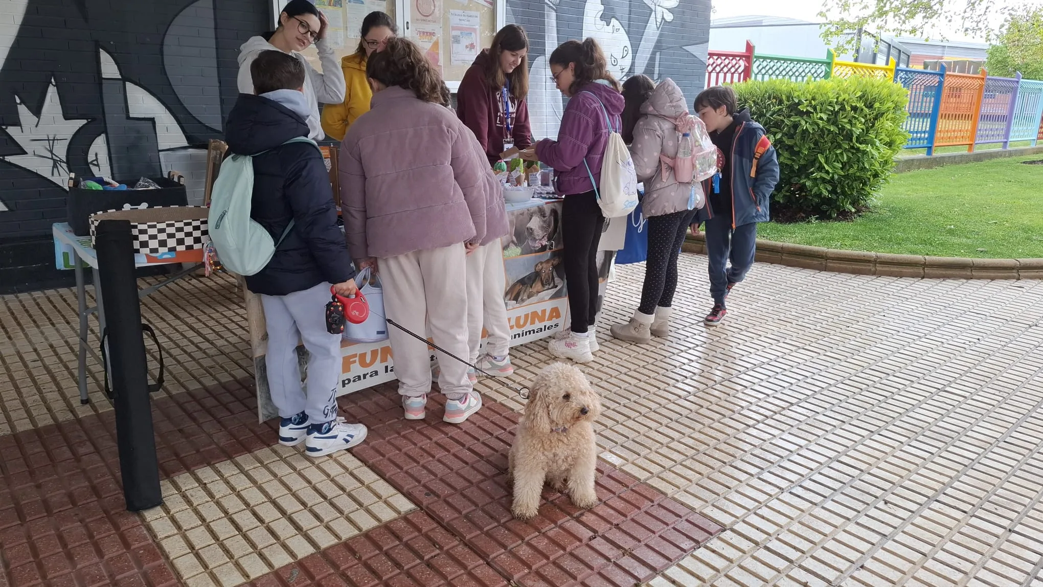 Una sesión de lectura, pancartas y emocionantes historias en el mercadillo a favor de la adopción de animales de Carbajosa