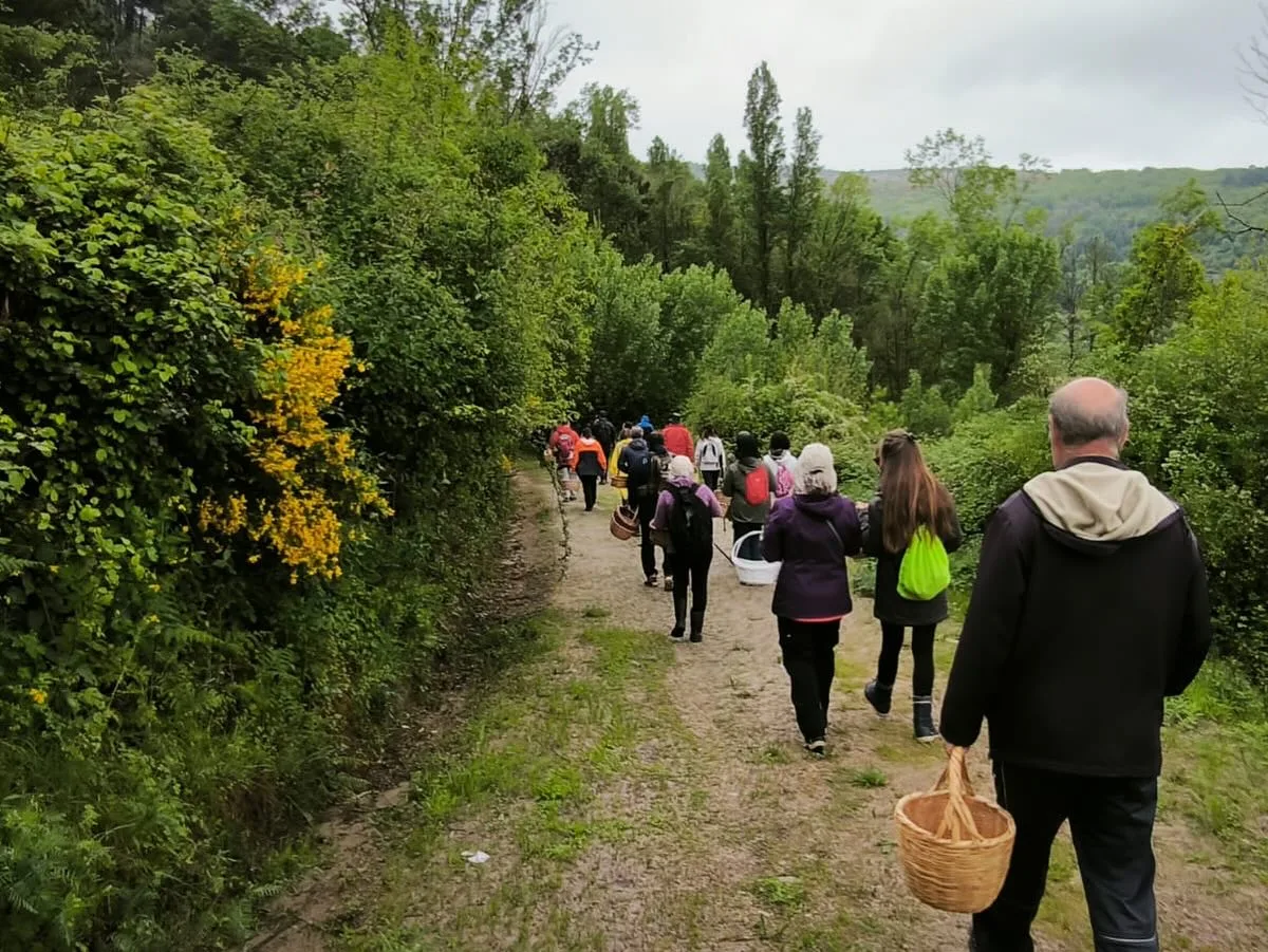 Éxito de participación en la segunda jornada micológica de primavera en Monforte de la Sierra