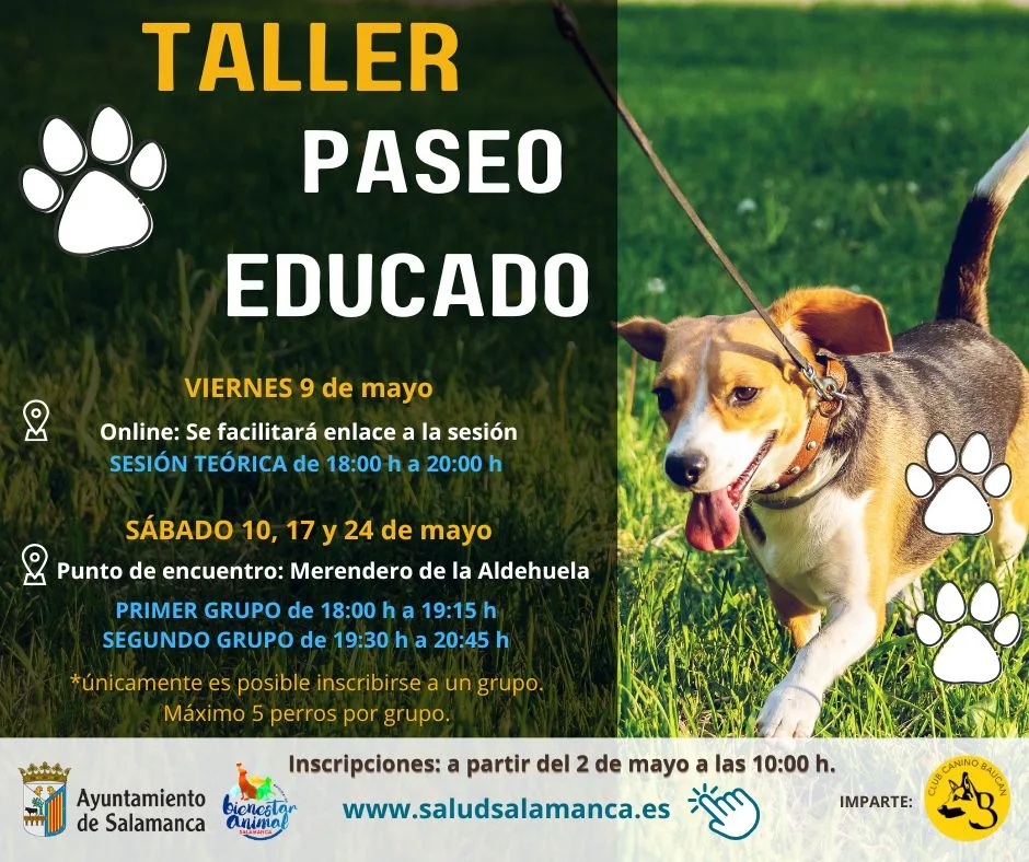 El Ayuntamiento oferta un nuevo taller sobre educación canina con paseos en grupos sociales