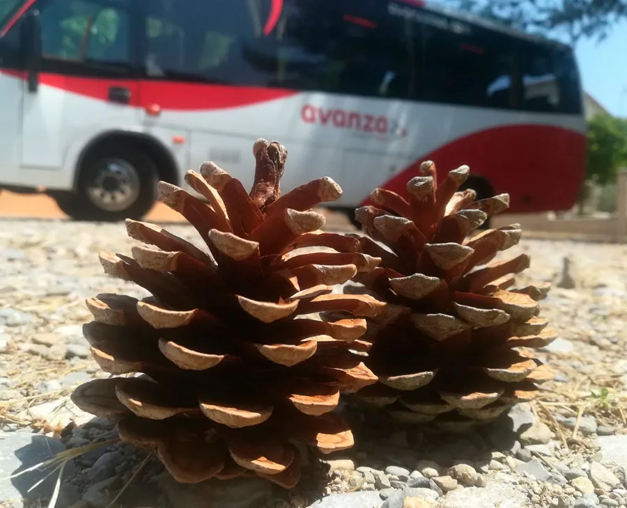 'Avanza' incrementa el número de pasajeros durante la Semana Santa entre Salamanca y los municipios del alfoz