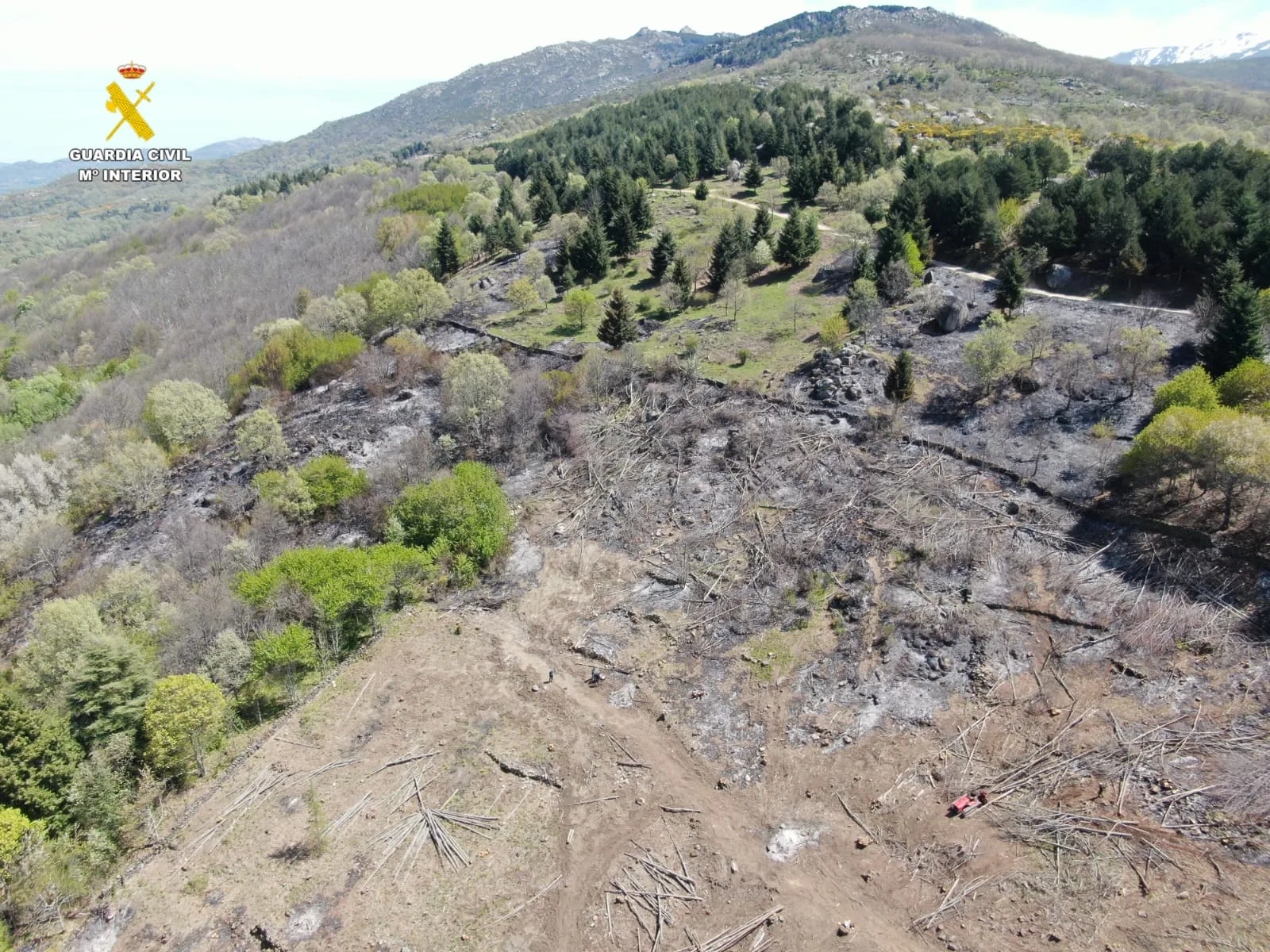 La Guardia Civil investiga al supuesto responsable de un incendio forestal por “negligencia grave” en el término municipal de Puerto de Béjar