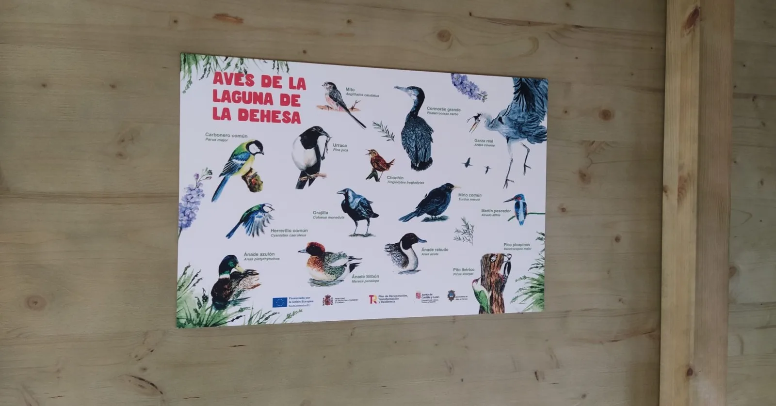 Avanza la instalación del observatorio de aves en la laguna de la Dehesa de Alba de Tormes