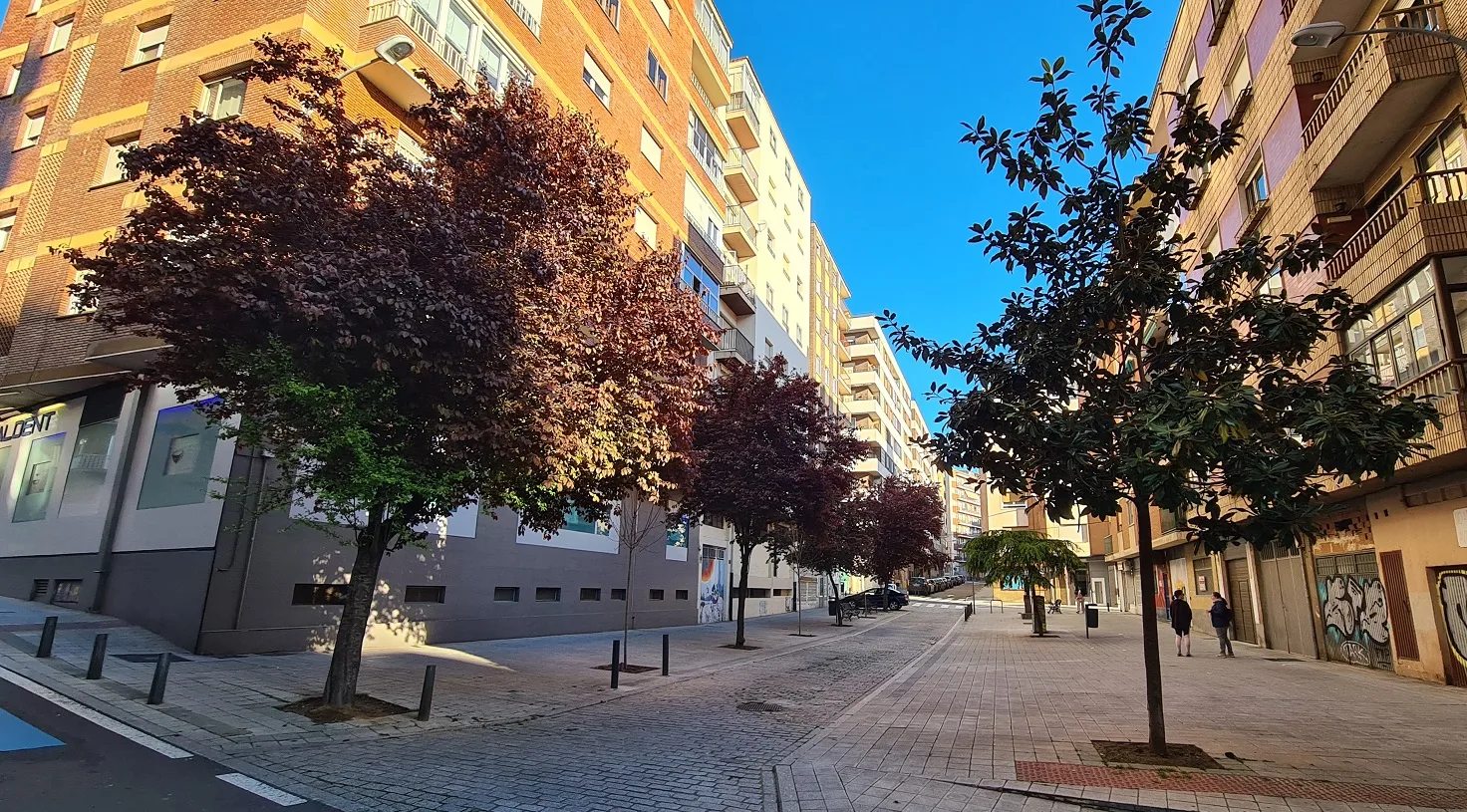 El Ayuntamiento de Salamanca invertirá 631.000 euros en la plantación de más de 32.600 árboles en la ciudad