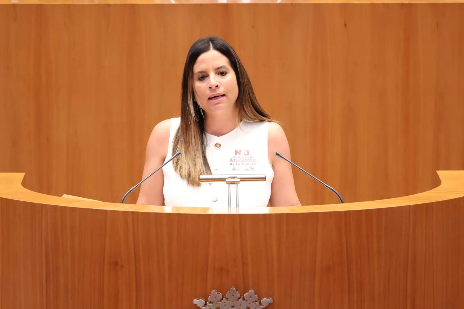 El PSOE pregunta a la Junta a qué se destina la creciente deuda pública de Castilla y León, que ya alcanza los 14.239 millones de euros