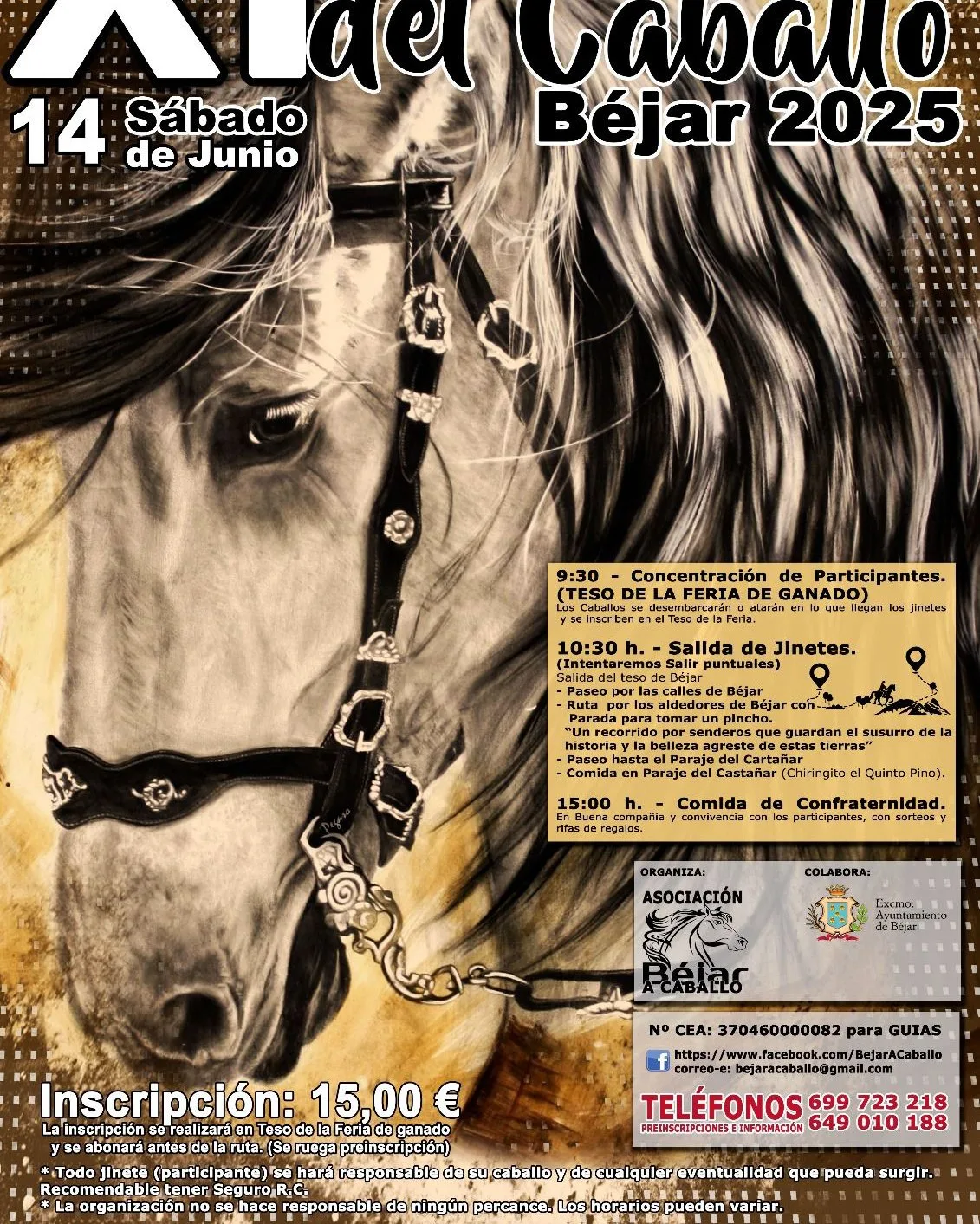 Béjar celebra la XI Edición del Caballo este 14 de junio