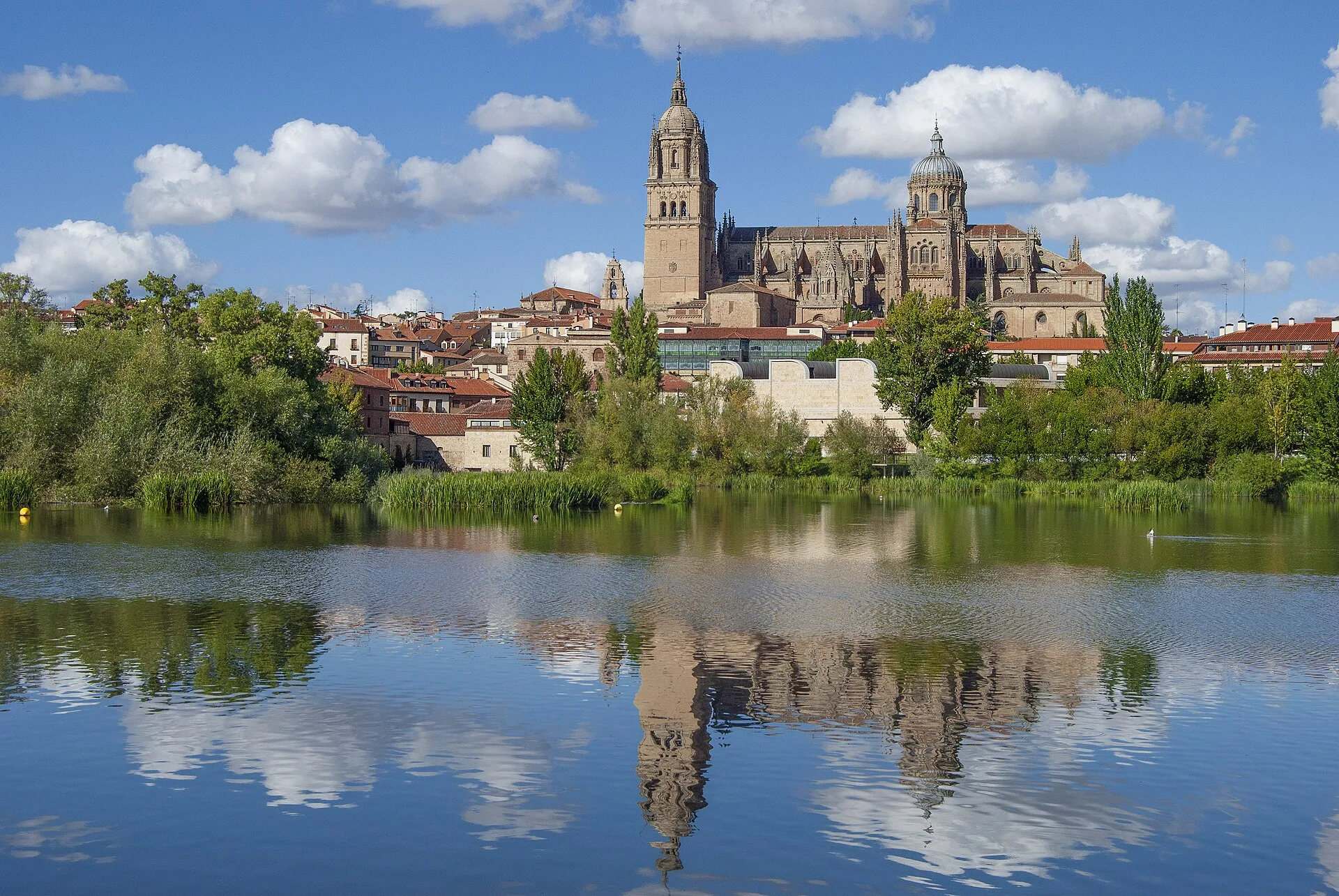 El PSOE propone devolver al río Tormes su papel como pulmón verde y corredor ecológico de Salamanca