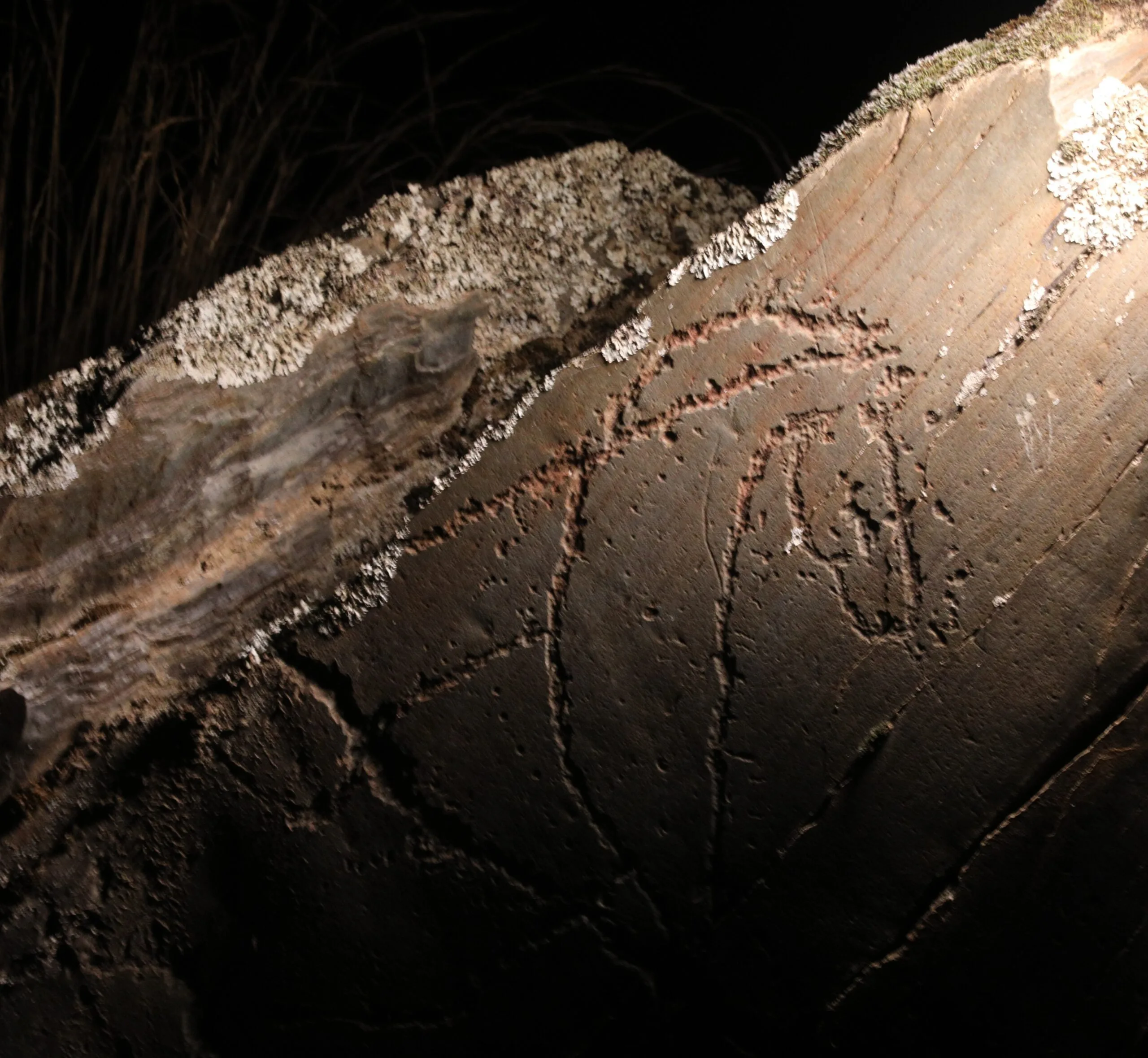 Siega Verde inicia las visitas nocturnas al Yacimiento este 4 de julio