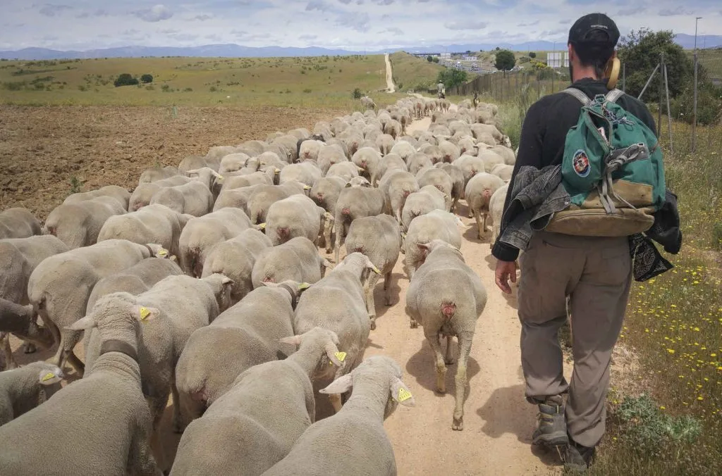 El PSOE reclama proteger y señalizar la red de caminos históricos del municipio