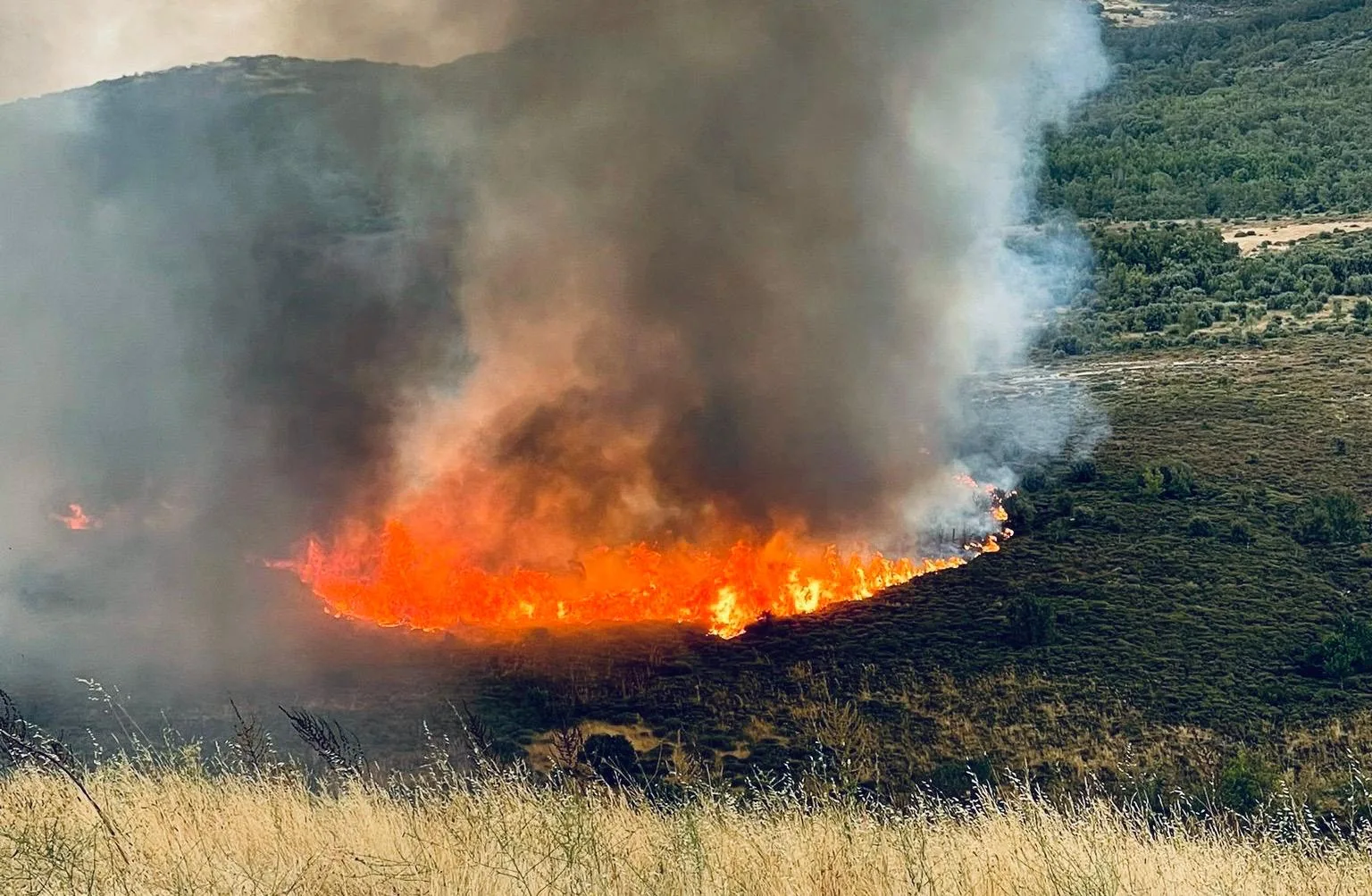 El PSOE de Salamanca solicita ayudas urgentes para explotaciones agroganaderas afectadas por los incendios