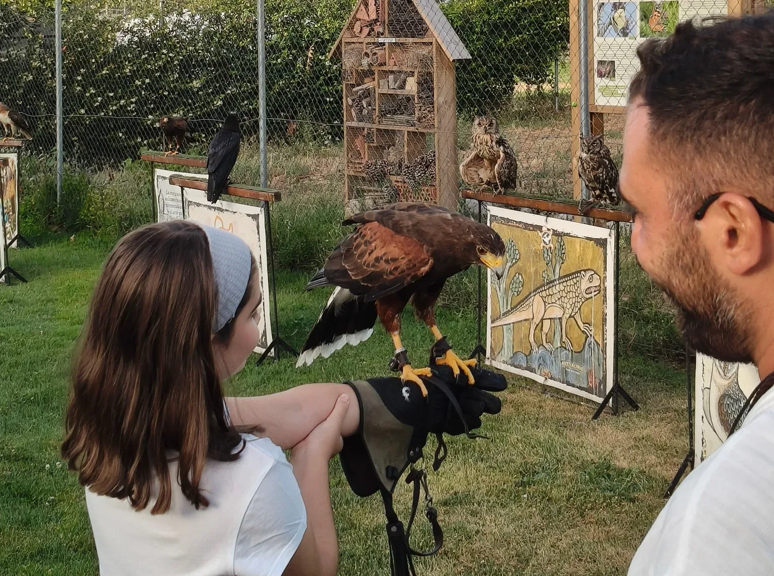 Éxito de la exhibición de fauna en el Prado de la Vega