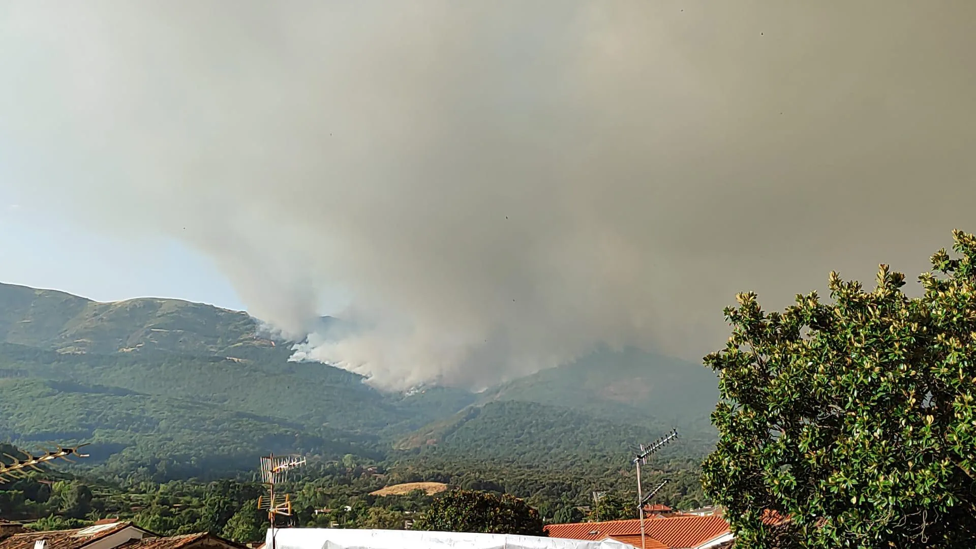 Controlado el incendio forestal de Jarilla tras once días de intensa lucha