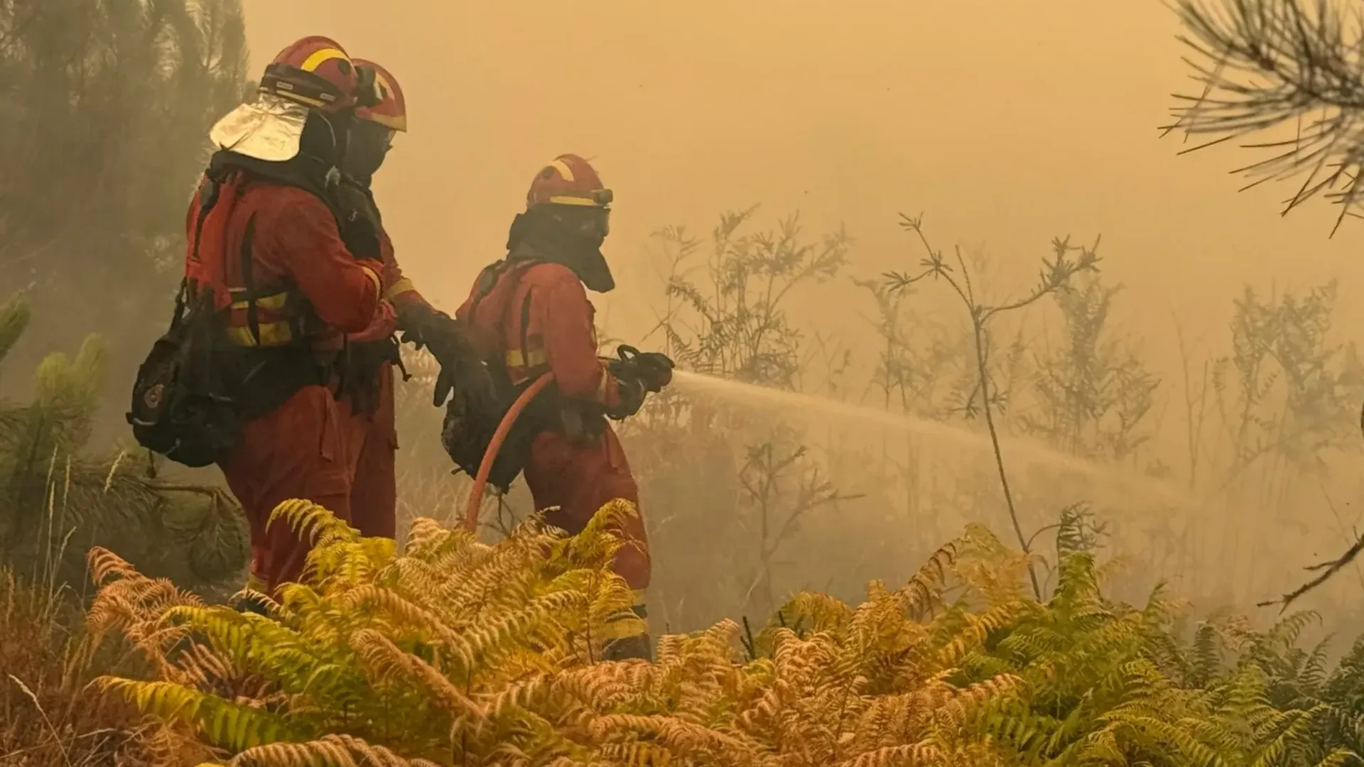 Nueve Castilla y León insta a la Junta y al Gobierno central a incluir de manera inmediata a Cipérez y Martín de Yeltes en la declaración de zonas catastróficas por los incendios