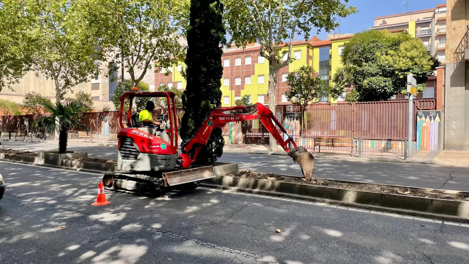 Renovación de la mediana del Paseo de Carmelitas con la plantación de 2.590 nuevas plantas arbustivas