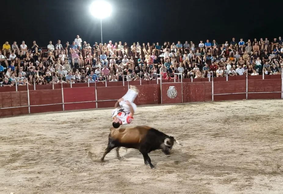 Carbajosa de la Sagrada despide el domingo con una noche de saltos y recortes
