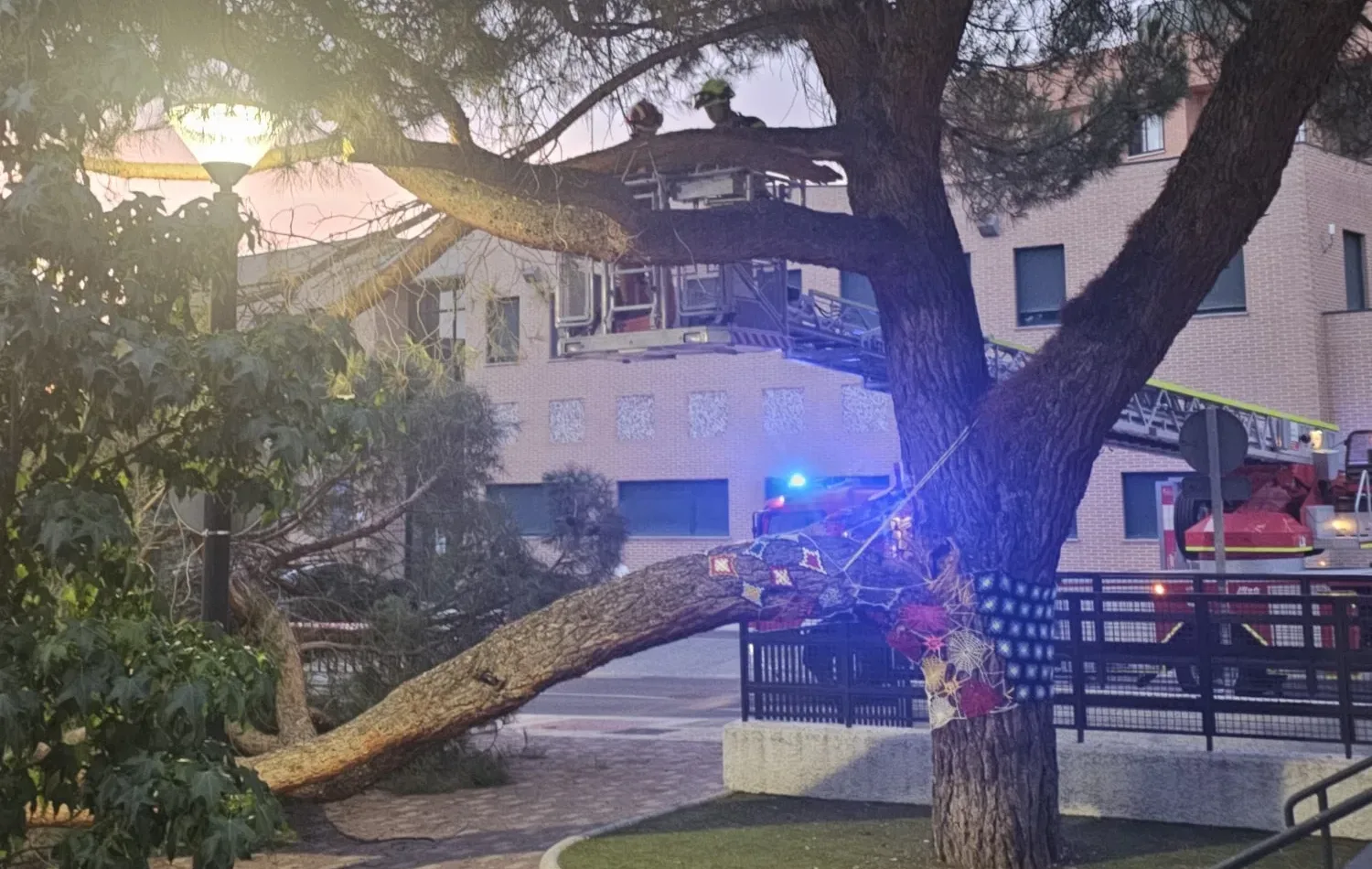 Corte de tráfico en la calle Santa Marta de Carbajosa por la caída de una rama