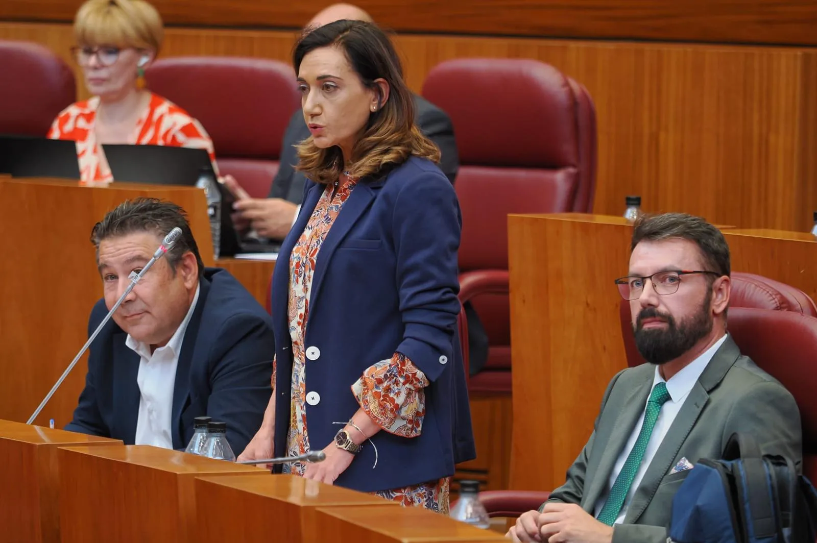 UPL reprocha a la Junta que apruebe 1,8 millones para difundir la identidad de Castilla y León “mientras deja importantes partidas sin ejecutar en sanidad o educación”