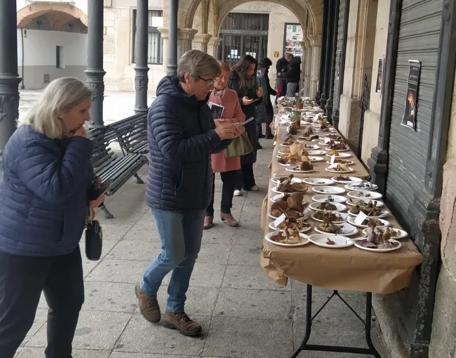 Alba de Tormes clausura con éxito las III Jornadas Micológicas con una exposición de 112 especies