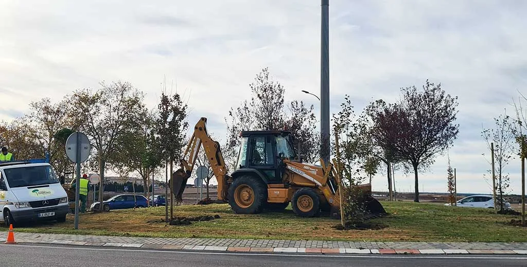 El Ayuntamiento inicia la plantación de más de 32.600 árboles con una inversión superior a 631.000 euros
