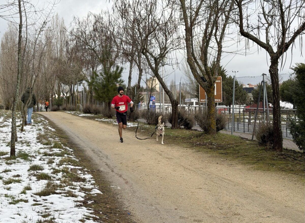 Corredor participando en el Canicross Guijuelo con su perro