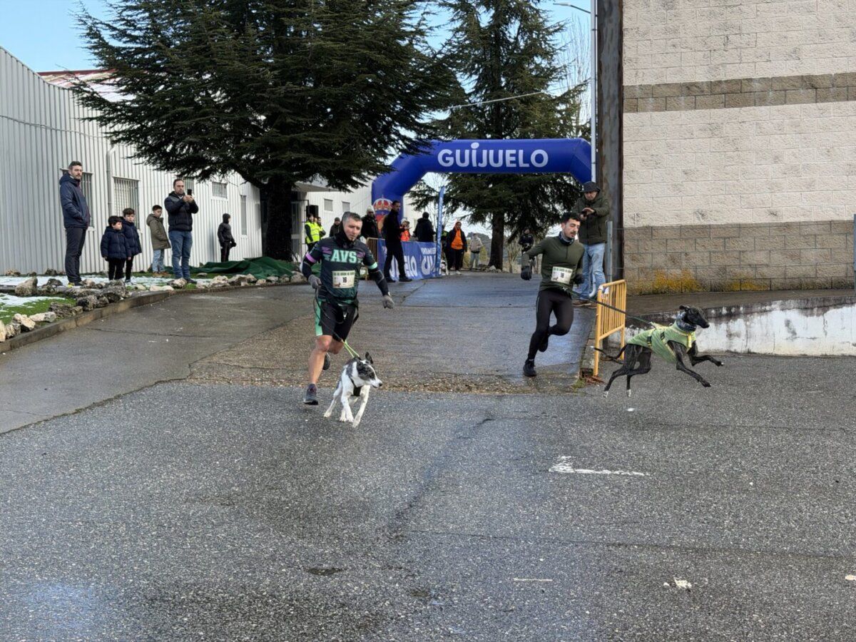 Corredores participando en el Canicross Guijuelo con sus perros