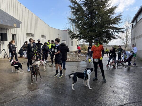 Participantes y perros en la primera edición del Canicross Guijuelo