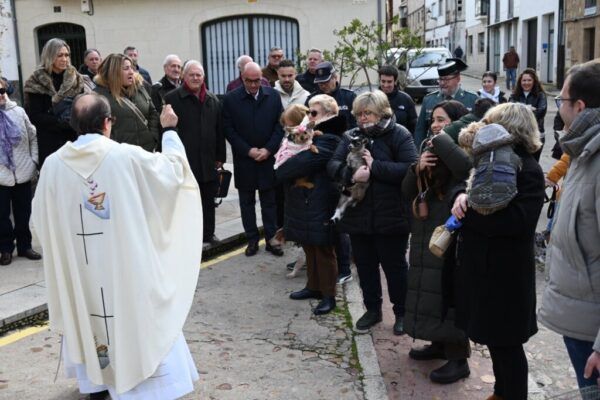 Celebración de San Antón con bendición de animales en Ciudad Rodrigo
