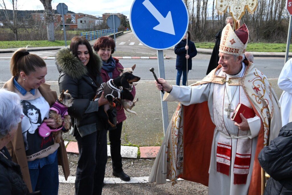 El obispo bendice animales durante la festividad de San Antón en El Puente