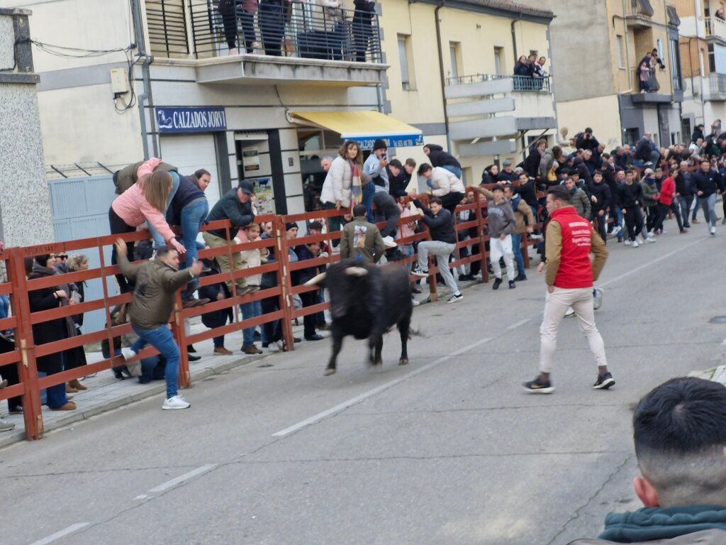 Ambiente festivo del Carnaval en Ciudad Rodrigo con el Toro de San Sebastián