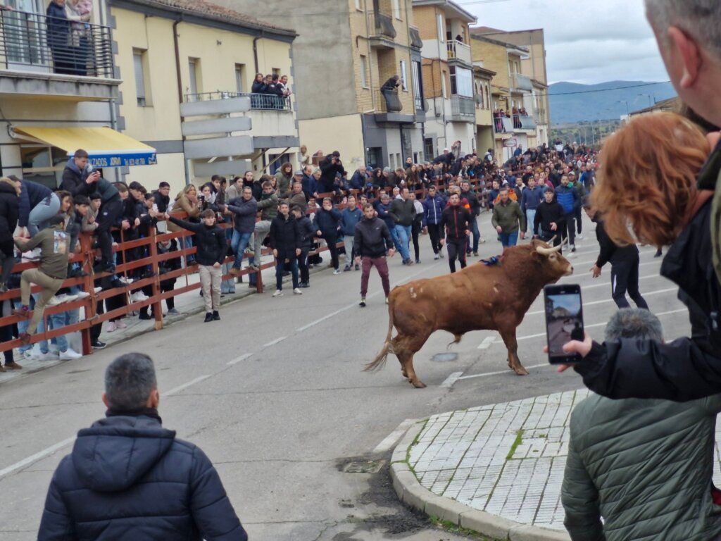 Multitud de personas en las calles durante el aperitivo del Carnaval con el Toro de San Sebastián.
