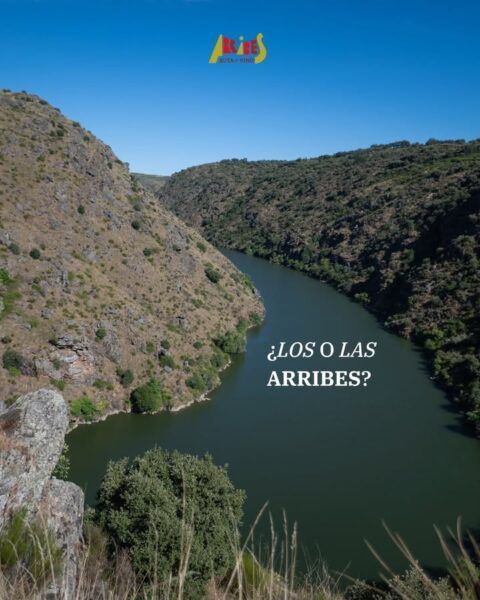 Vista del río Duero en los Arribes con montañas y vegetación