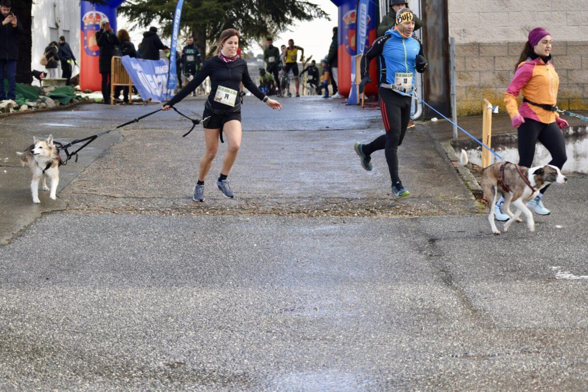 Corredores y perros participando en el Canicross de Guijuelo