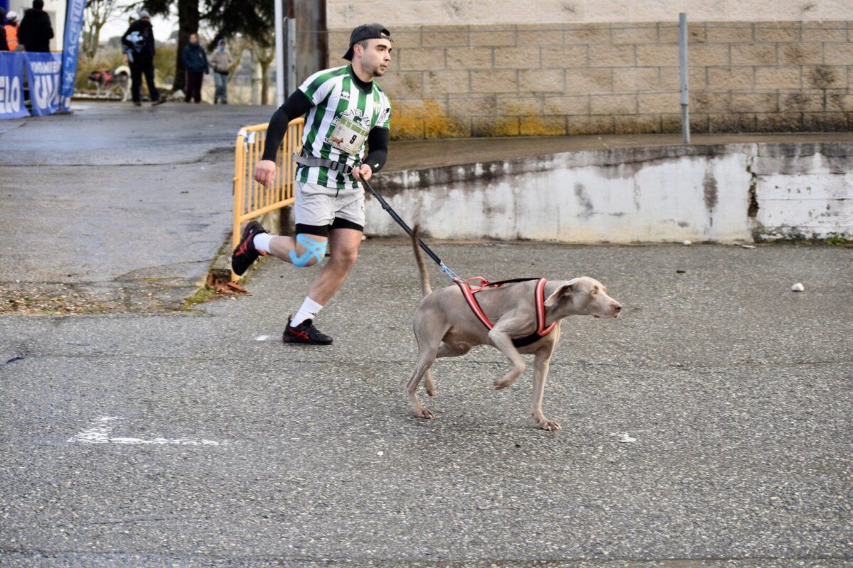 Corredor con perro participando en el Canicross de Guijuelo