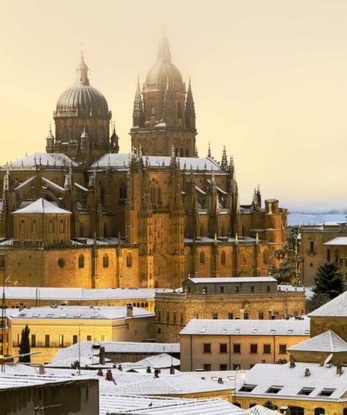 Vista de la catedral de Salamanca con nieve en los techos