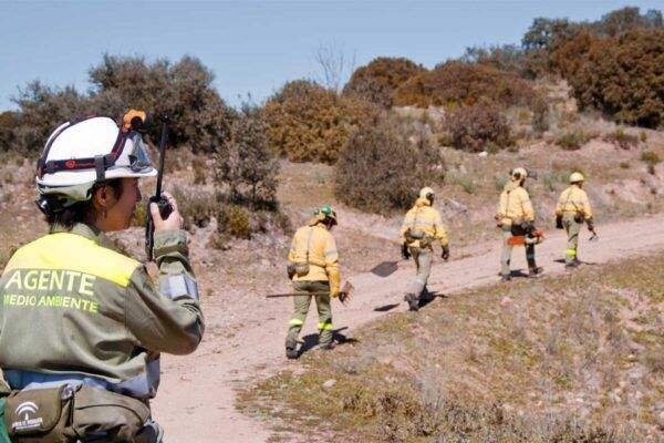 Agente medio ambiente usando radio en un entorno forestal