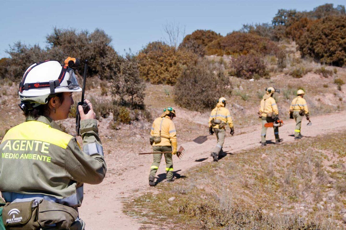 Agente medio ambiente usando radio en un entorno forestal