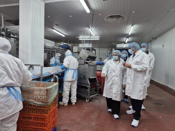 Visita a una planta de producción con trabajadores en equipo