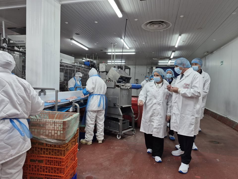 Visita a una planta de producción con trabajadores en equipo