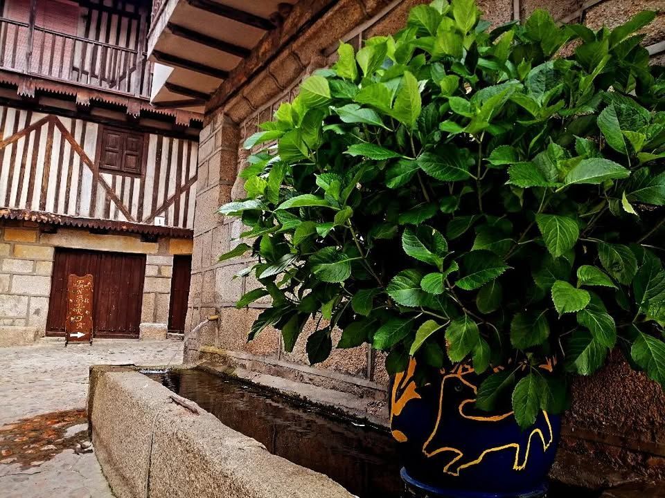 Vista de un rincón de Herguijuela de la Sierra con plantas y arquitectura tradicional