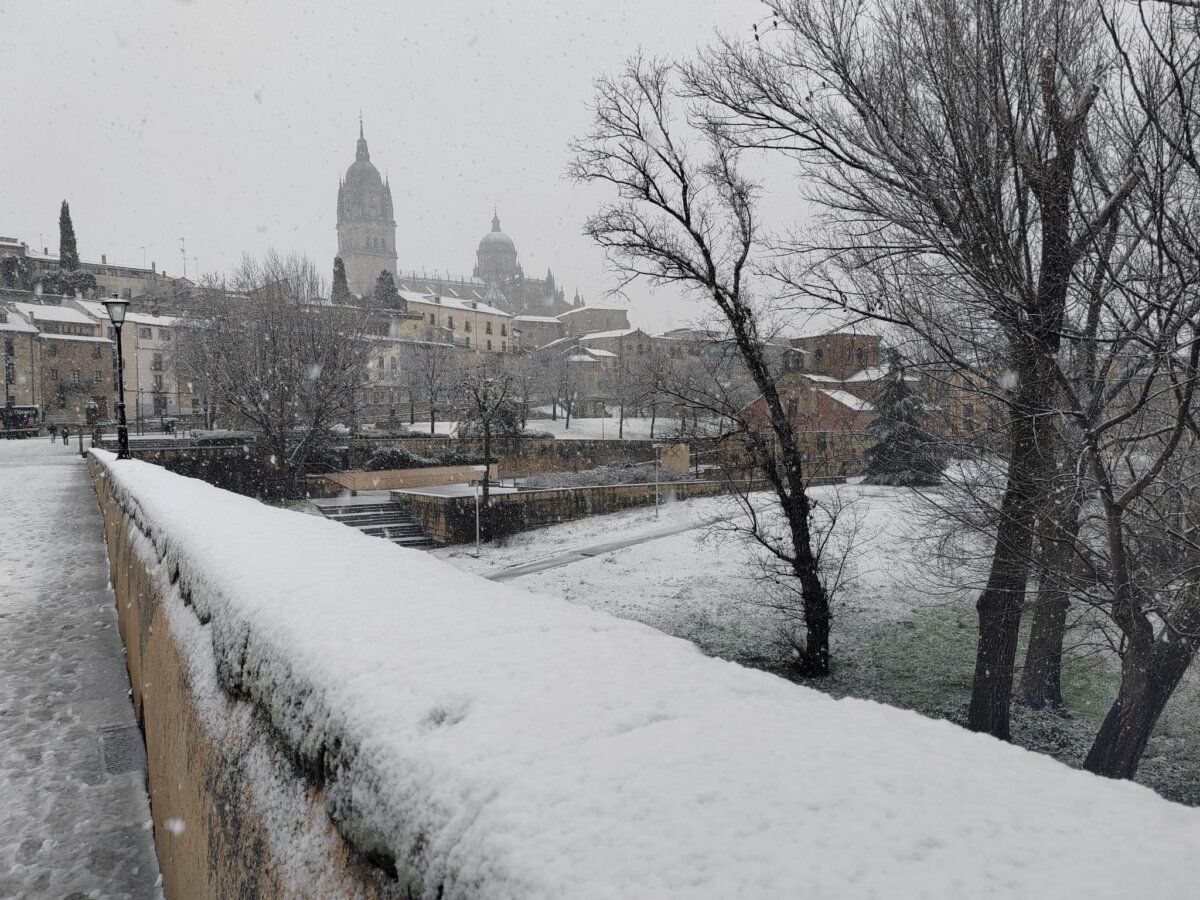 Vista de Salamanca cubierta de nieve en un día invernal