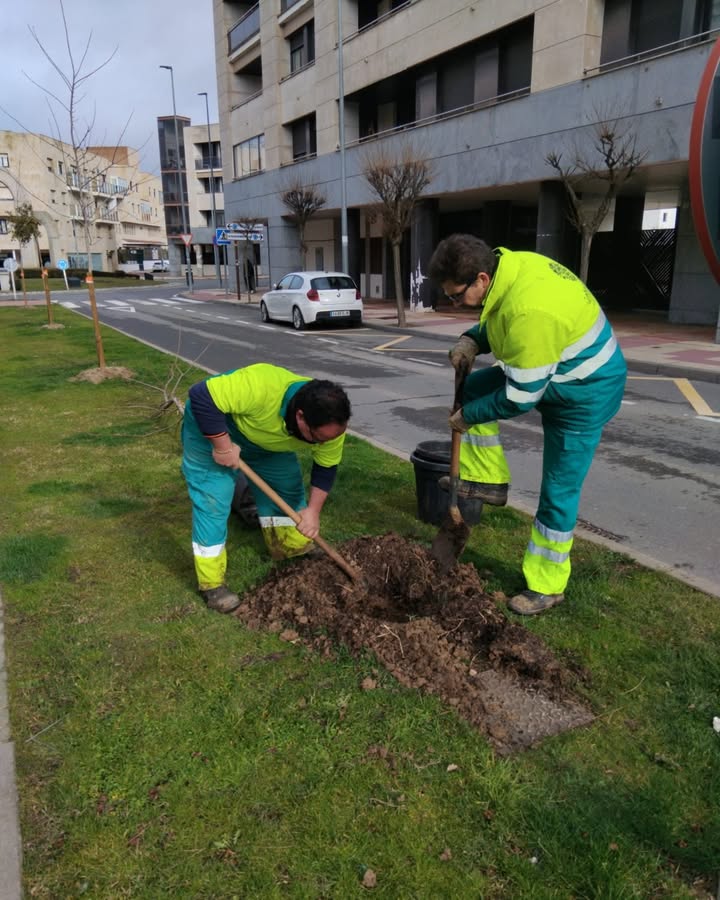 Carbajosa de la Sagrada impulsa una nueva plantación de árboles para reforzar su compromiso medioambiental