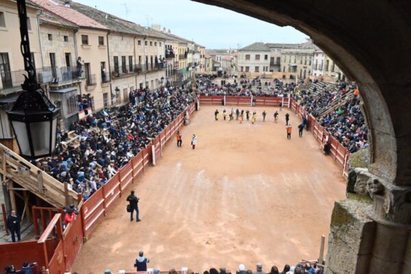 Vista del tentadero durante el Carnaval del Toro en Ciudad Rodrigo