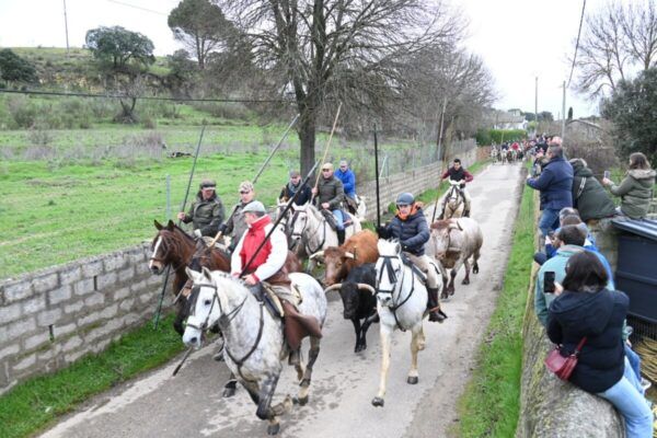 Grupo de jinetes a caballo durante el Carnaval del Toro