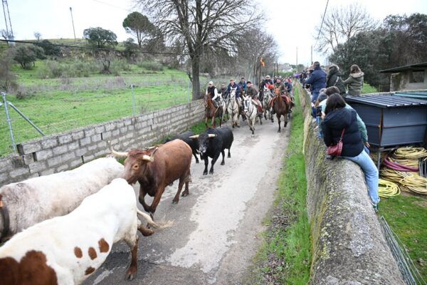 Encierro a caballo durante el Carnaval del Toro en Casasola
