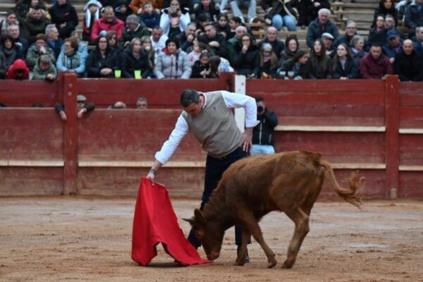 Un aficionado en el Carnaval del Toro con un toro en la plaza