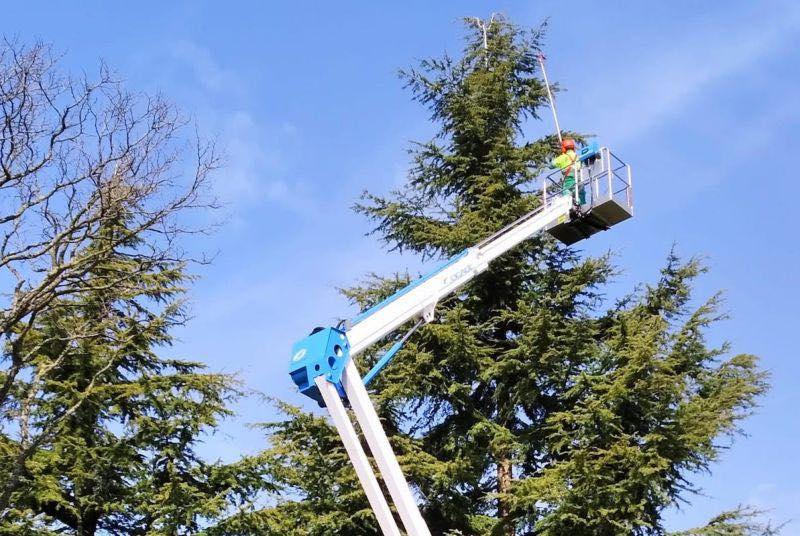 Trabajador en plataforma elevadora realizando tratamientos en árboles