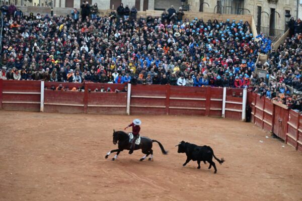 Competencia de carnaval del toro con jinete y toro en la plaza